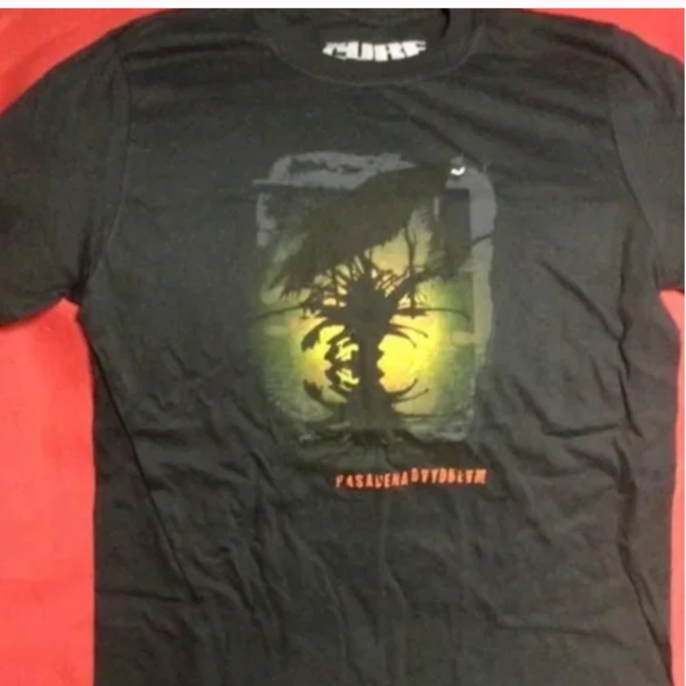 NWOT THE CURE concert tshirt and poster